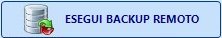 GestioneArchiviTastoEseguiBackupRemoto